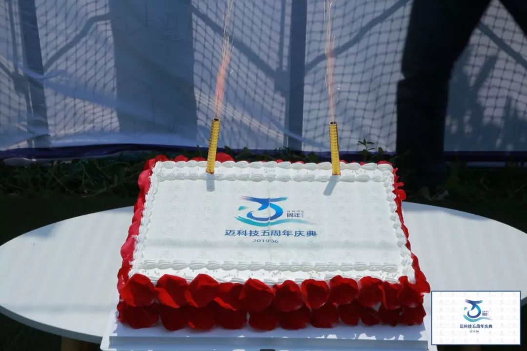 保加利亚国家队披荆斩棘,稳步前行的简单介绍 保加利亚国家队披荆斩棘,稳步前行的简单介绍